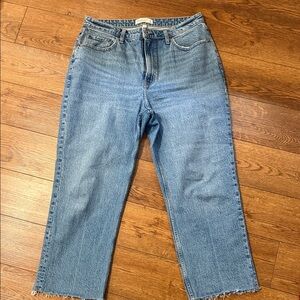 Abercrombie & Fitch Women's Vintage Straight High rise Curve Love 31 short